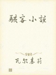 骇客小说