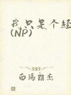 我只是个经纪人(NP)