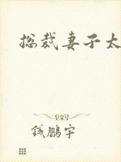 总裁妻子太诱人封面