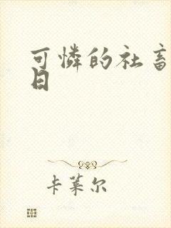 可怜的社畜东度日