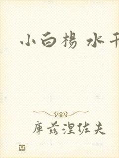 小白杨 水千丞