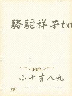 骆驼祥子txt