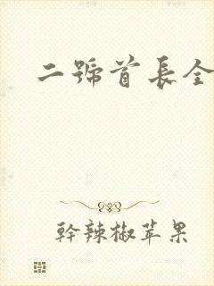 二号首长全集