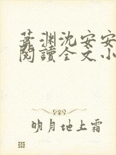 萧渊沈安安免费阅读全文小说封面