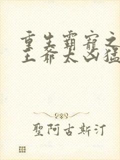 重生霸宠之摄政王爷太凶猛
