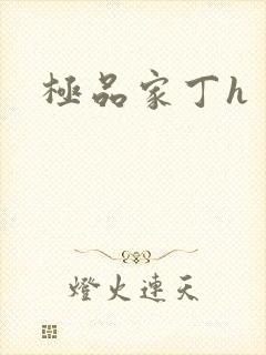 极品家丁h