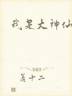 我是大神仙小说