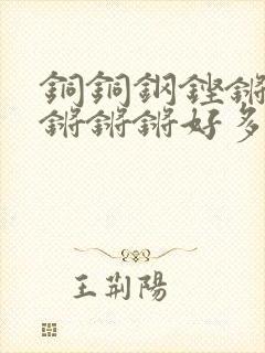 铜铜钢铿锵锵锵锵锵锵好多少阅读封面