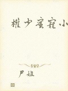 权少蜜宠小娇妻