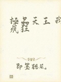 极品天王 我本疯狂