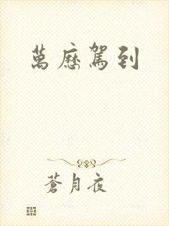 万历驾到封面