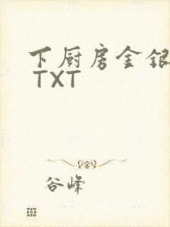 下厨房金银花露 TXT