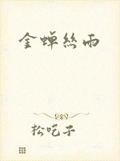 金蝉丝雨封面