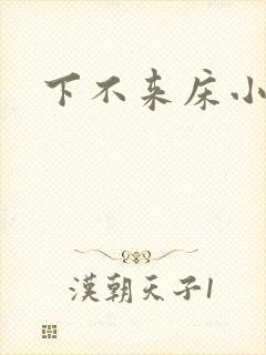 下不来床小说