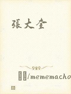 张大奎封面