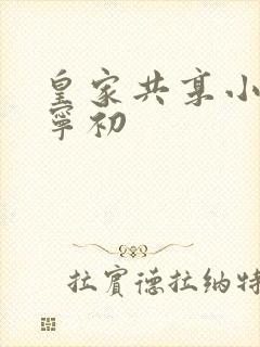 皇家共享小公主宁初