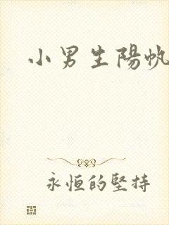 小男生阳帆