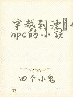 穿越到湮婸世界npc的小说