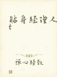 贴身经理人txt
