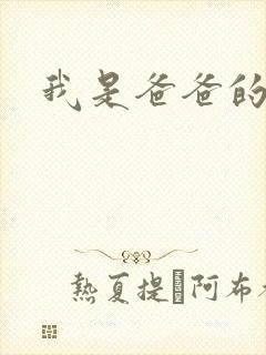 我是爸爸的玩具