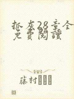 抓灰28章全部免费阅读封面