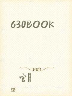 630BOOK封面