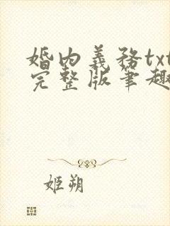 婚内义务txt完整版笔趣阁封面
