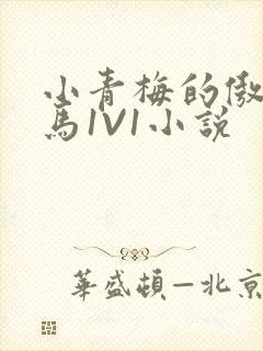 小青梅的傲娇竹马1V1小说