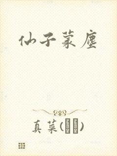 仙子蒙尘封面