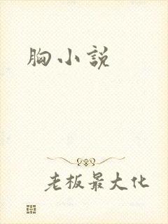 胸小说