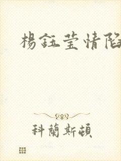 杨钰莹情陷红楼