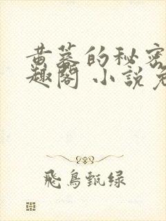 黄蓉的秘密 笔趣阁 小说免费阅读下载