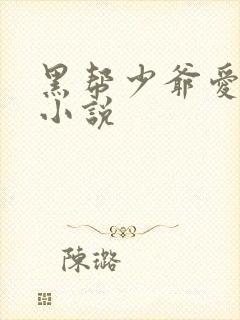 黑帮少爷爱上我小说