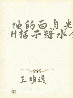 他的白月光HVH桔子糖水全文