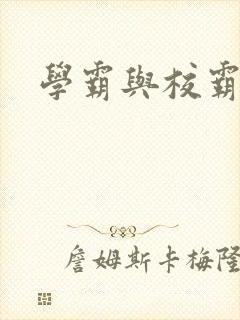 学霸与校霸
