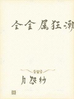 全金属狂潮小说
