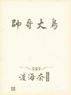 帅哥大鸟
