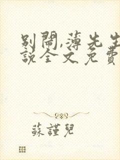 别闹,薄先生小说全文免费阅读封面