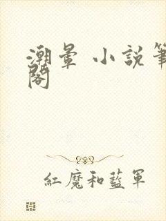潮晕 小说笔趣阁