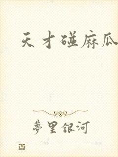 天才碰麻瓜封面