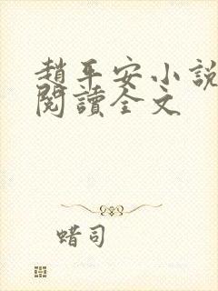 赵平安小说免费阅读全文封面