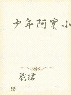 少年阿宾小说
