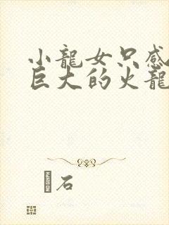 小龙女只感觉那巨大的火龙枪