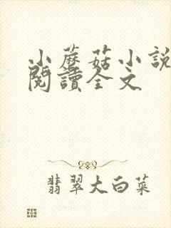 小蘑菇小说免费阅读全文