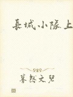 长城小队上中下封面
