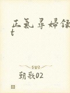正气寻妇录txt