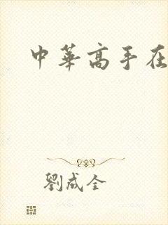 中华高手在异世封面