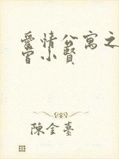 爱情公寓之极品曾小贤封面