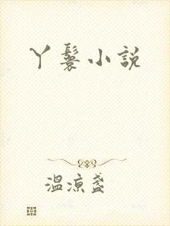 丫鬟小说