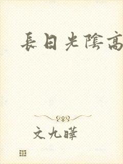 长日光阴高h封面